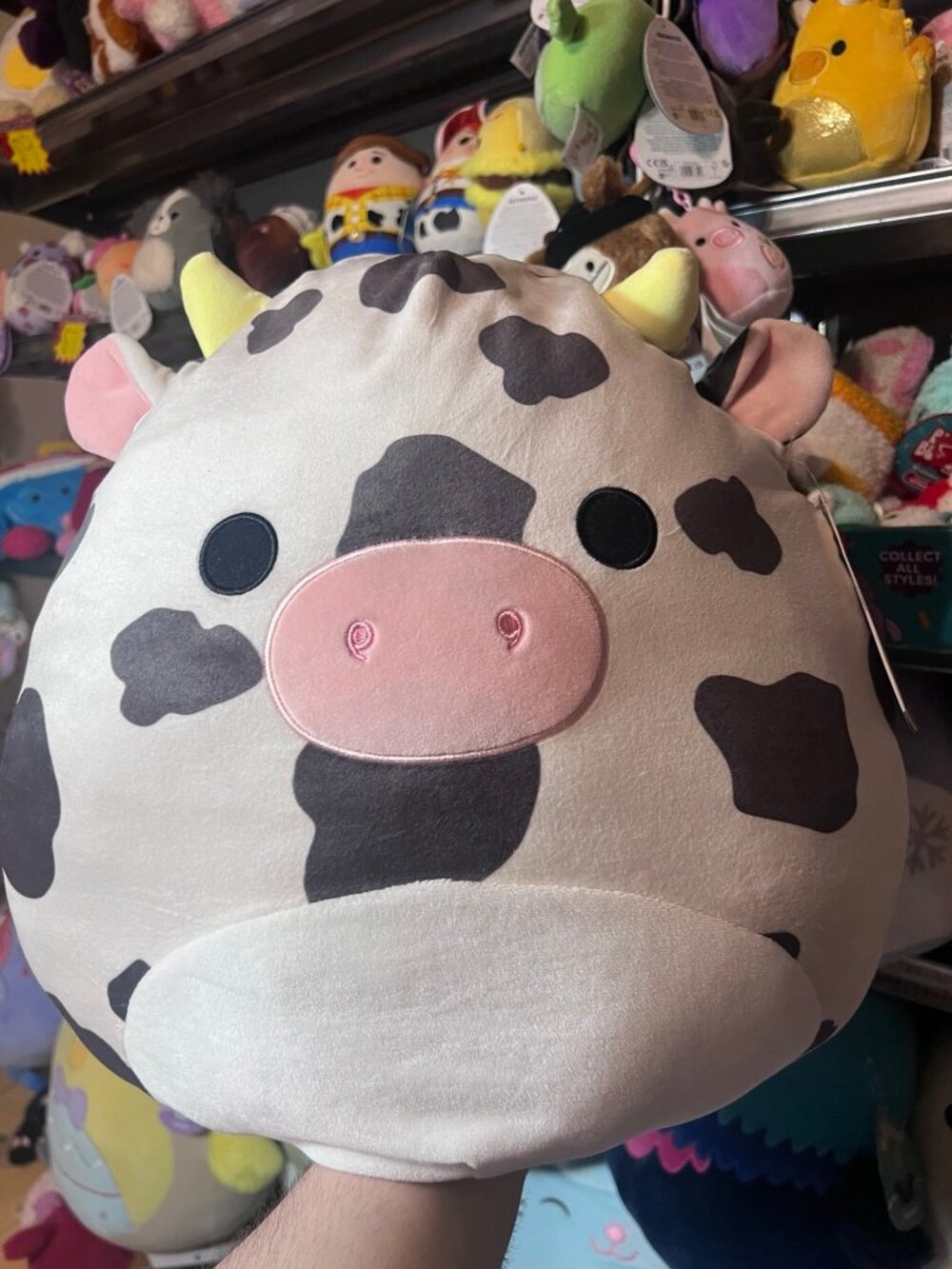 Squishmallows Colin the SPOTTED Cow 16" Stuffed Plush NWT